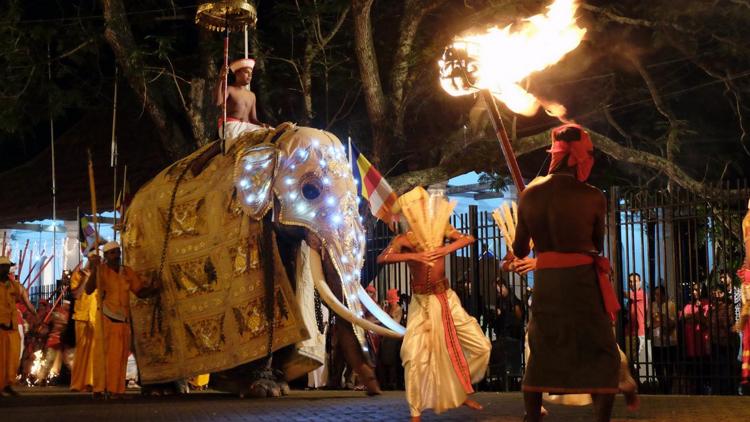 Постер Kandys Perahera – Elefantenprozession in Sri Lanka