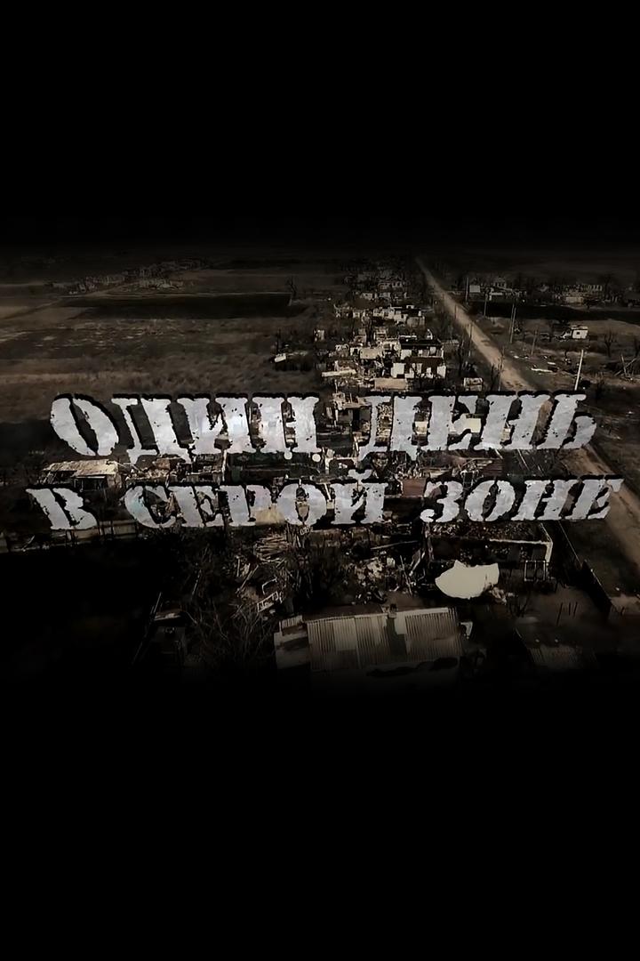 Один день в серой зоне (odin-den-v-seroj-zone) Документальный фильм