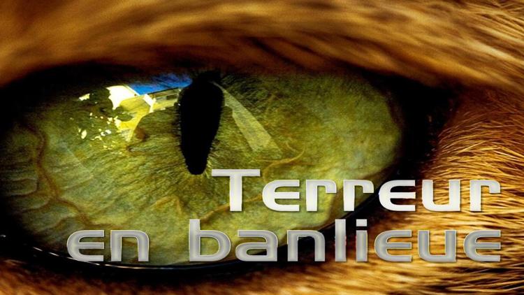 Постер Terreur en banlieue