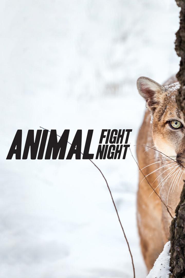 Animal Fight Night: Summer Heat (animal-fight-night-summer-heat) Документальный сериал