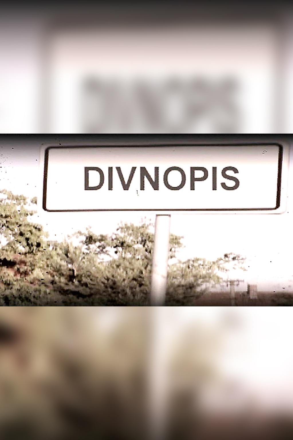 Divnopis (divnopis) Познавательное