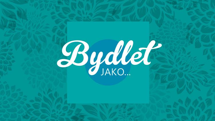 Постер Bydlet jako