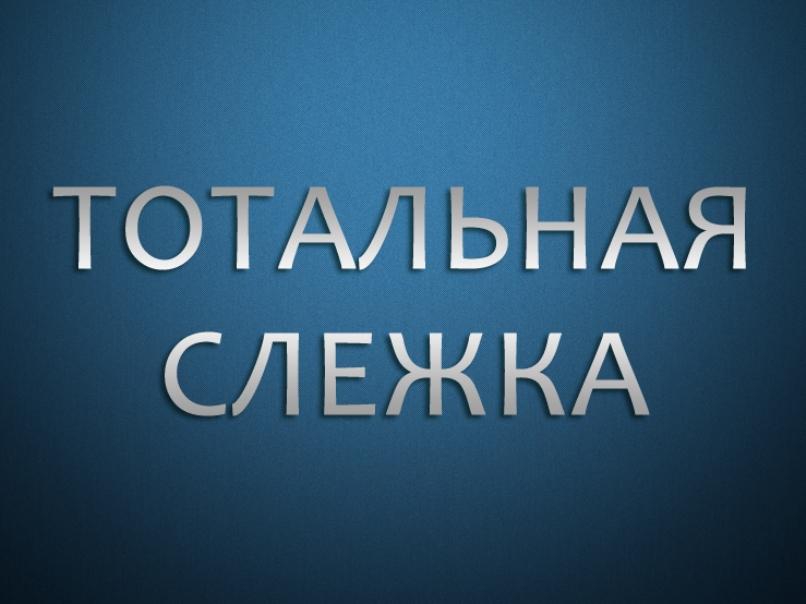Тотальная слежка (totalnaja-slezhka) Другое