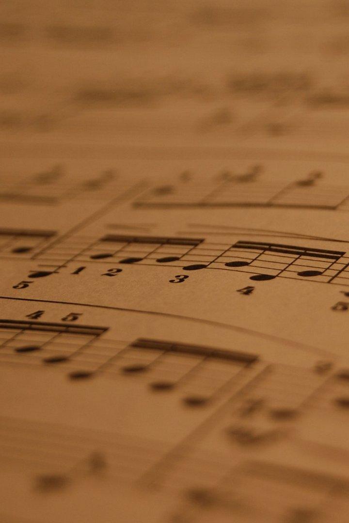 Konzert in der Elbphilharmonie (konzert-in-der-elbphilharmonie) Музыка