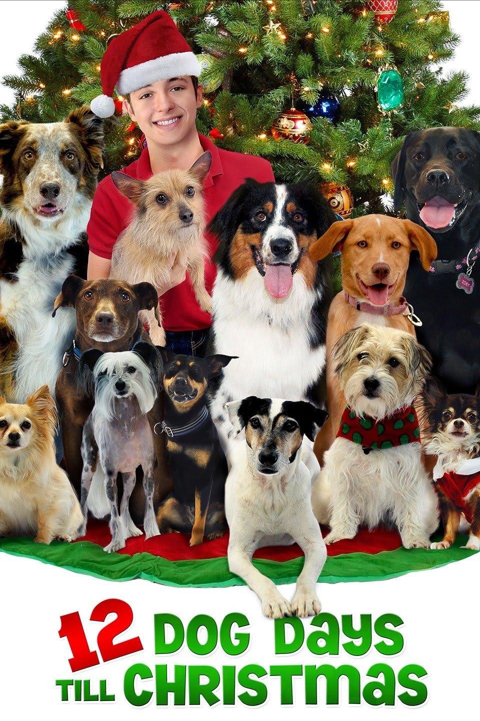12 Dog Days of Christmas (12-dog-days-of-christmas) Фильм 2014