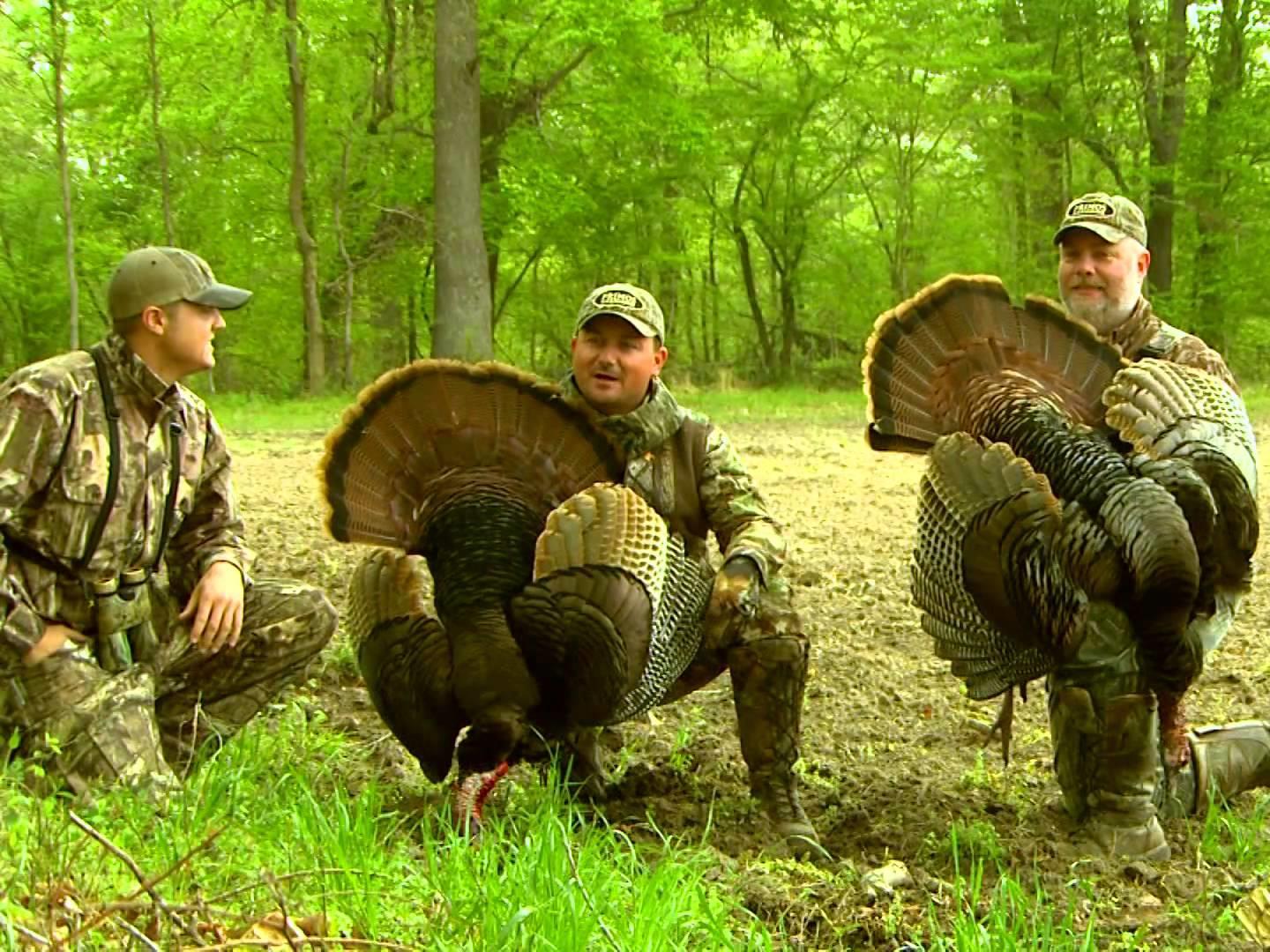 Вся правда об охоте (vsja-pravda-ob-ohote) Документальный сериал