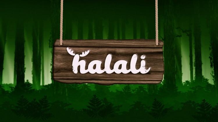 Постер Halali