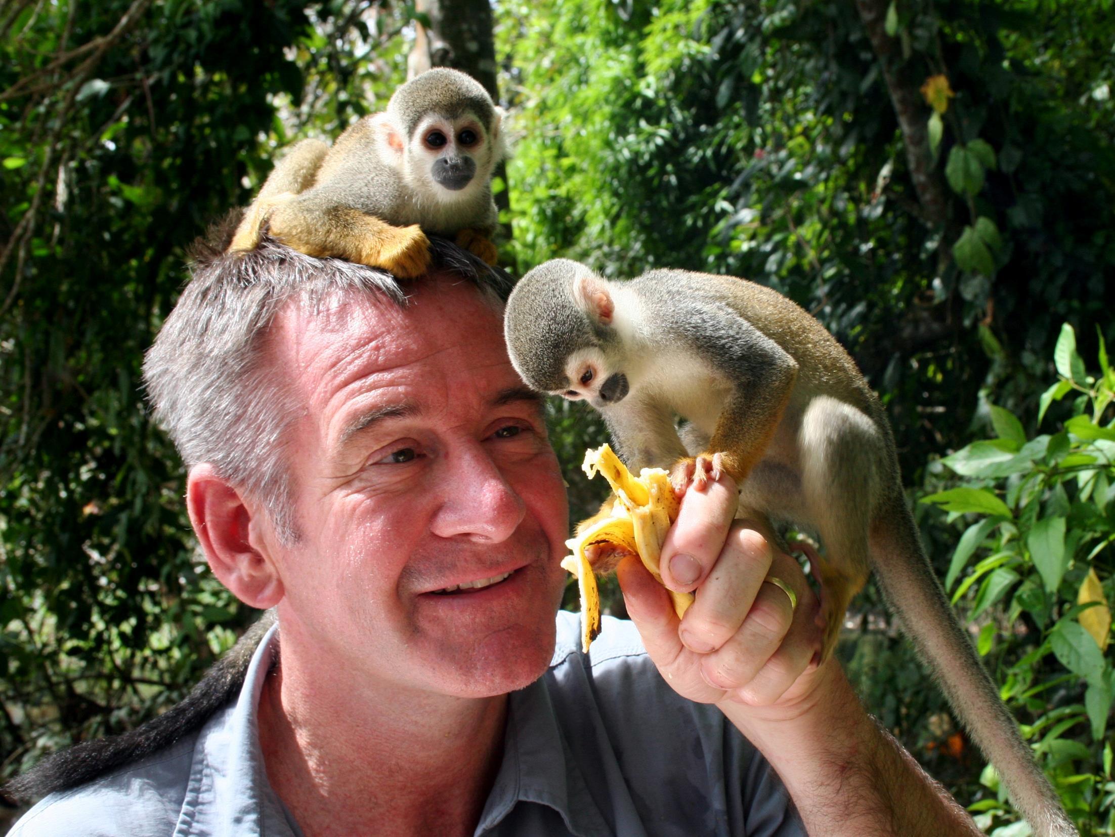 Дикая природа Колумбии с Найджелом Марвеном (dikaja-priroda-kolumbii-s-najdzhelom-marvenom) Документальный сериал