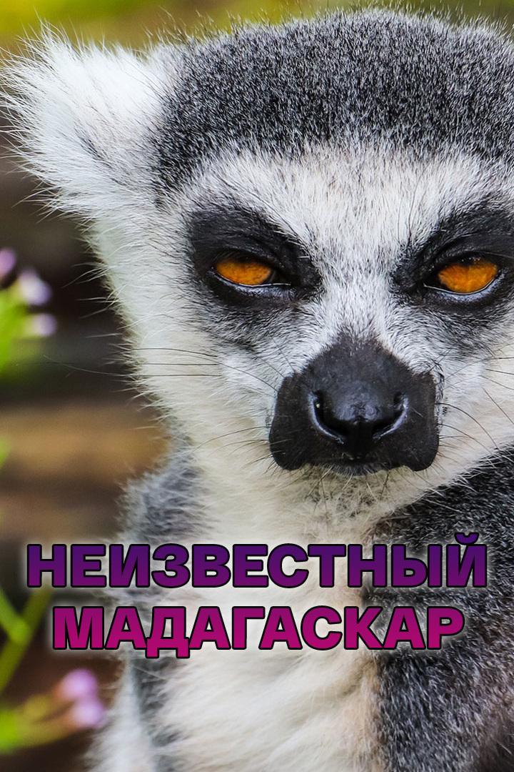 Неизвестный Мадагаскар (neizvestnyj-madagaskar) Документальный фильм