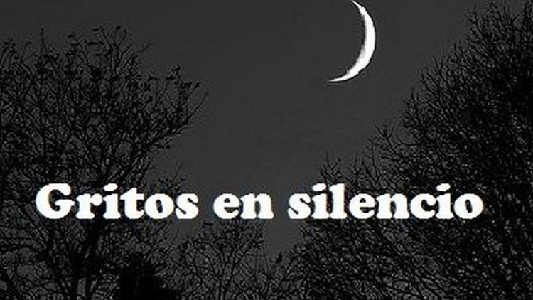 Постер Gritos en silencio