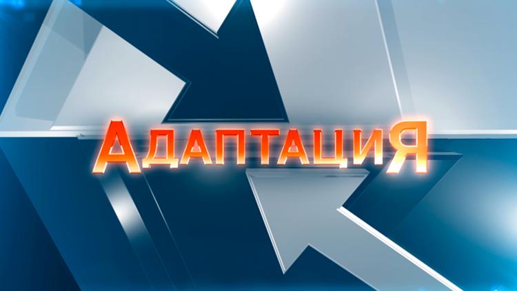 Постер Адаптация