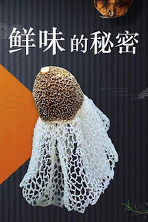 鲜味的秘密 Документальный сериал