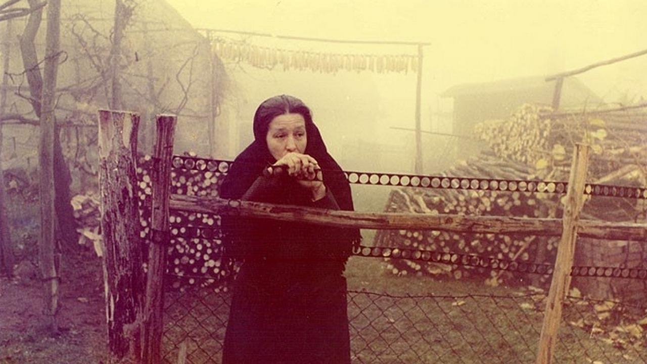 Čierne ovce (ierne-ovce) Фильм 1973