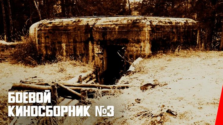 Постер Боевой киносборник № 3