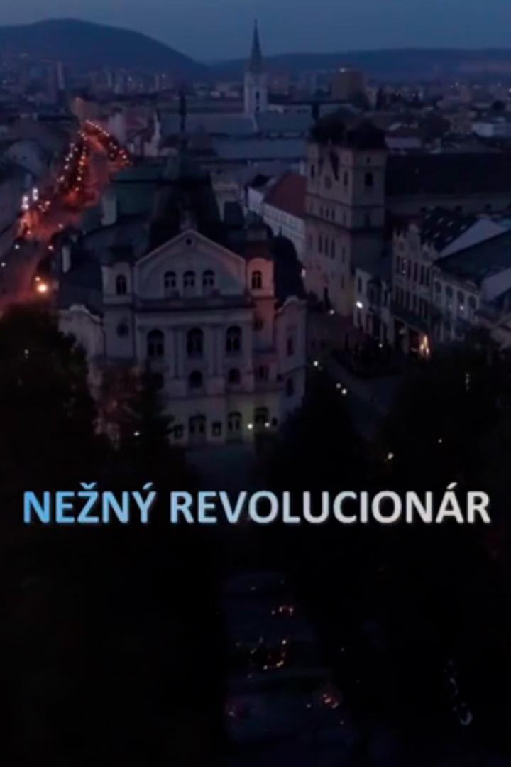 Nežný revolucionár (nen-revolucionr) Документальный фильм