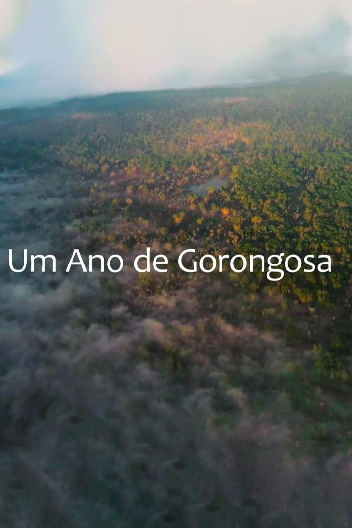 Um Ano de Gorongosa (um-ano-de-gorongosa) Документальный фильм