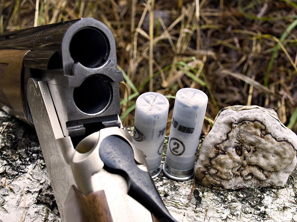 Сезон охоты (sezon-ohoty) Досуг, хобби