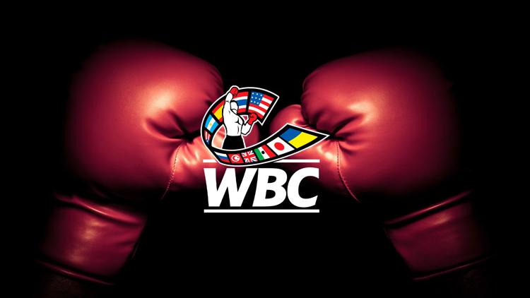 Постер Бокс. П. Силягин - А. Чилемба. Бой за титул чемпиона по версии WBC Silver в суперсреднем весе. А. Девятов - А. Лазаро. Трансляция из Москвы