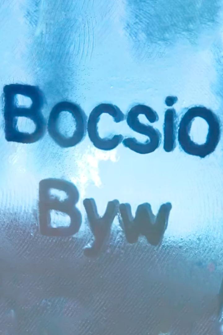 Bocsio Byw (bocsio-byw) Досуг, хобби