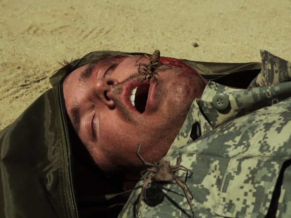 Верблюжьи пауки (verbljuzhi-pauki) Фильм 2011