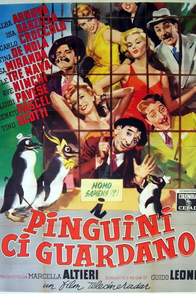 I pinguini ci guardano (i-pinguini-ci-guardano) Фильм 1956