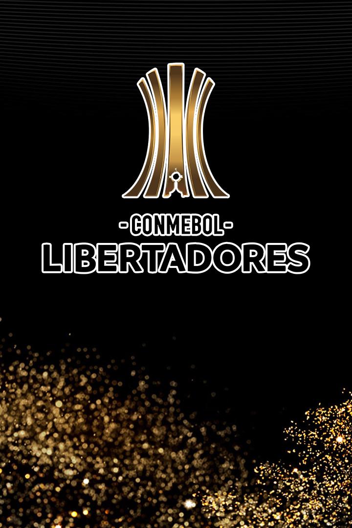 Футбол. Кубок Либертадорес. «Дорога к финалу» (futbol-kubok-libertadores-doroga-k-finalu) Досуг, хобби