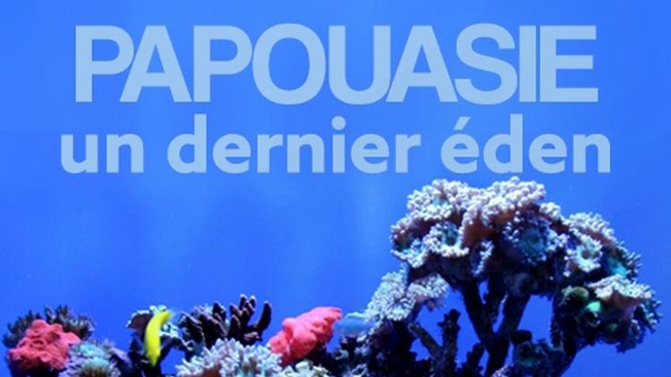 Постер Papouasie un dernier eden