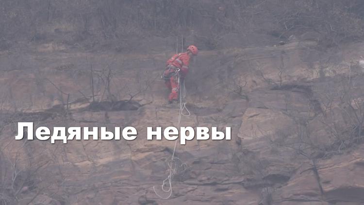 Постер Ледяные нервы