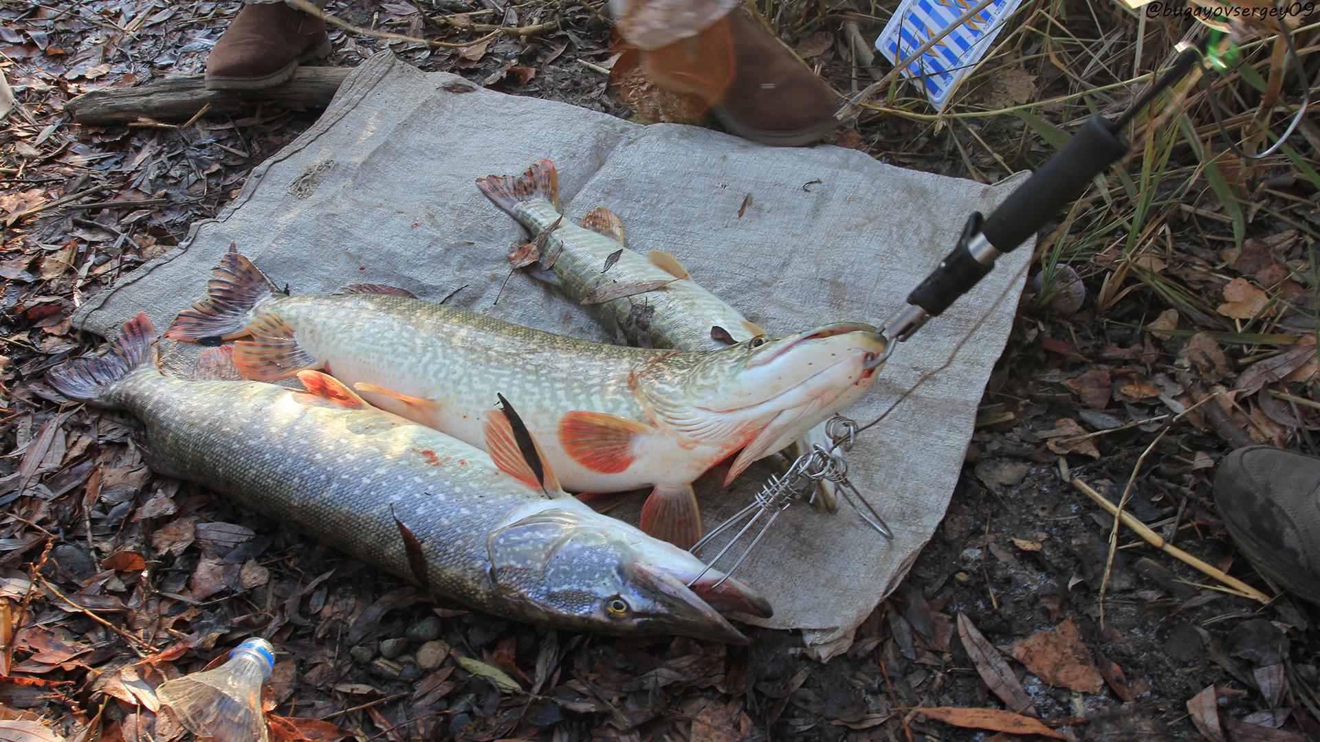 Рыбалка в Карачаево-Черкесии (rybalka-v-karachaevo-cherkesii) Досуг, хобби