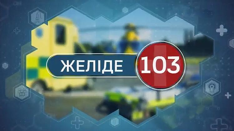 Постер Желіде 103