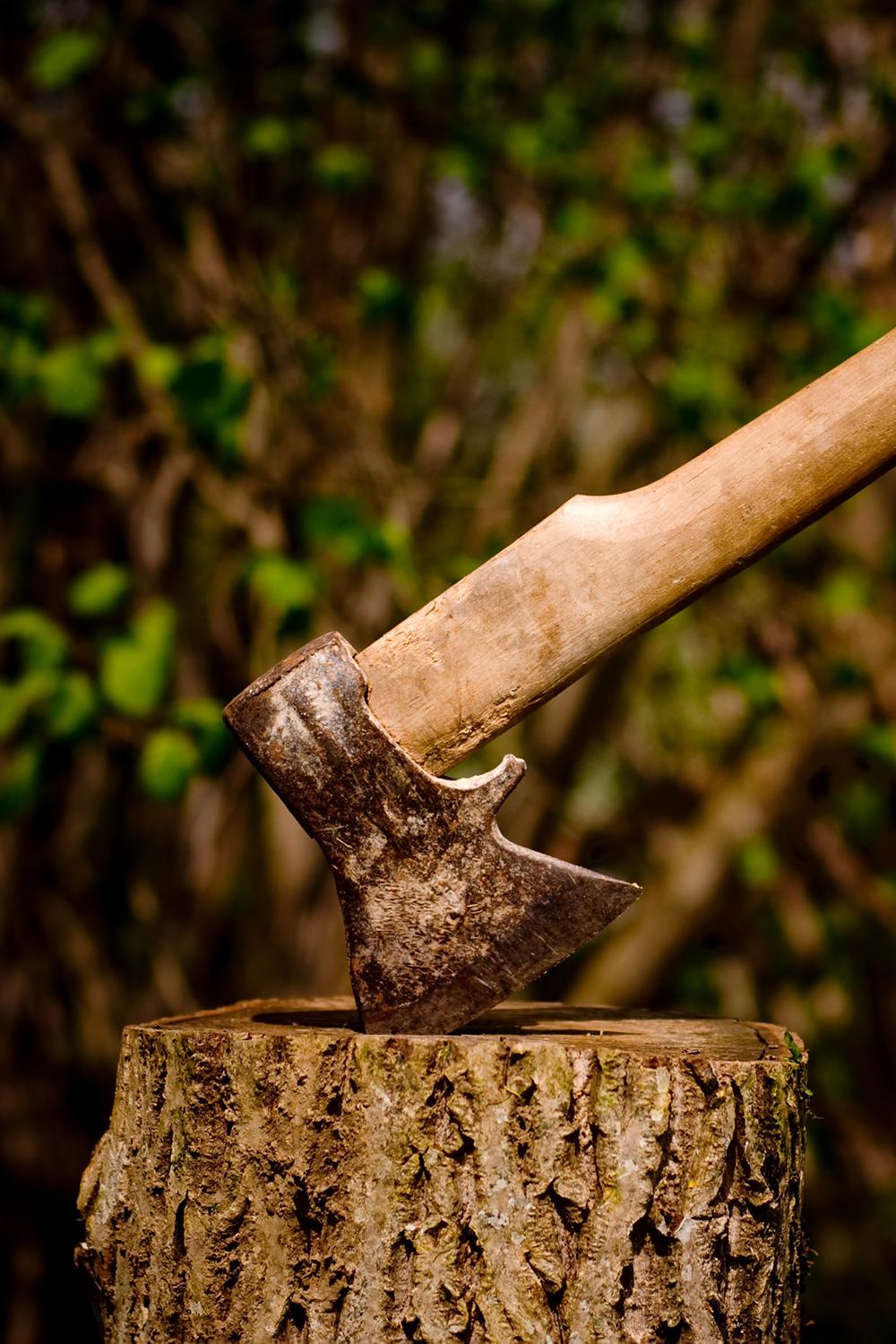Woodchopping World Championships (woodchopping-world-championships) Досуг, хобби