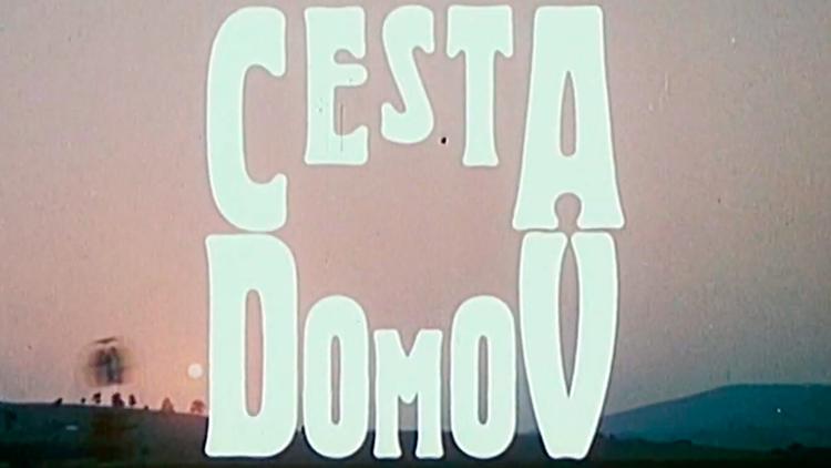 Постер Dlhá cesta domov