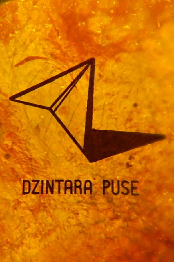 Dzintara puse (dzintara-puse) Документальный сериал