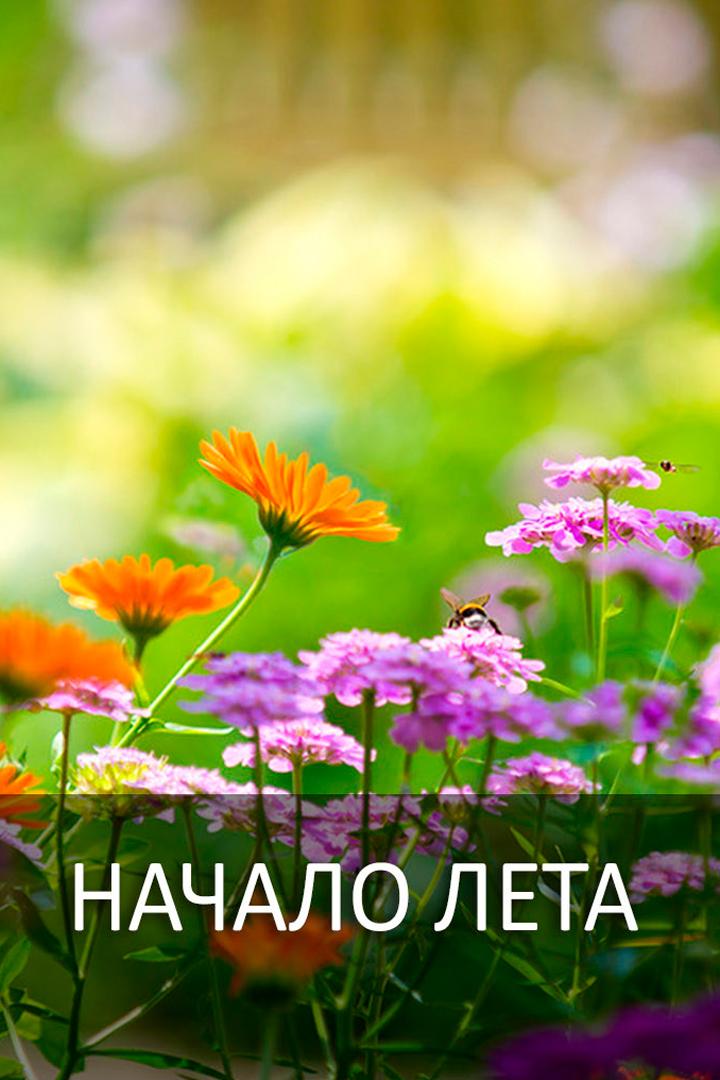 Начало лета (nachalo-leta) Досуг, хобби