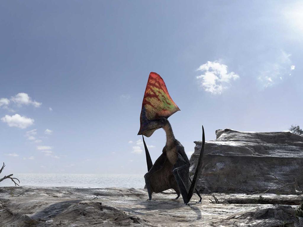 Крылатые монстры (krylatye-monstry) Документальный сериал