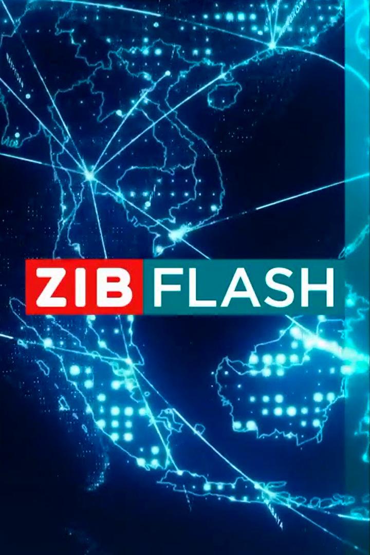 ZIB Flash (zib-flash) Новости