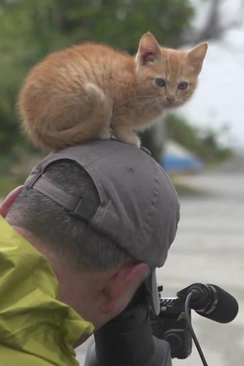 Wildlife Photographer Mitsuaki Iwago's World (wildlife-photographer-mitsuaki-iwagos-world) Познавательное