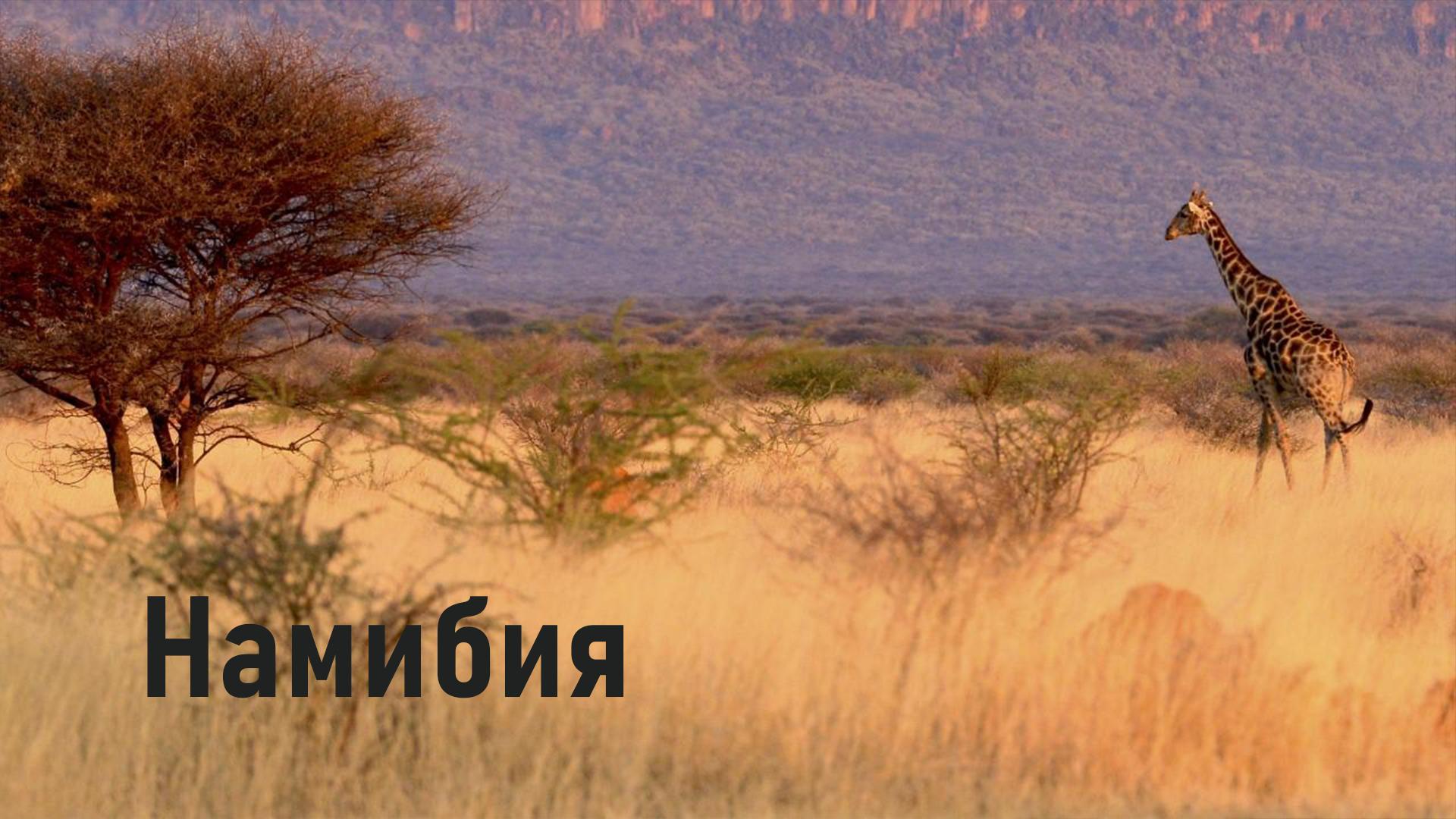 Намибия (namibija) Документальный фильм