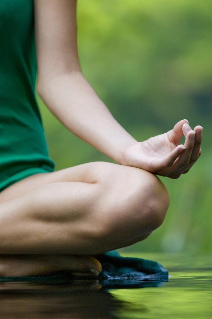 My Zen семья (my-zen-semja) Досуг, хобби