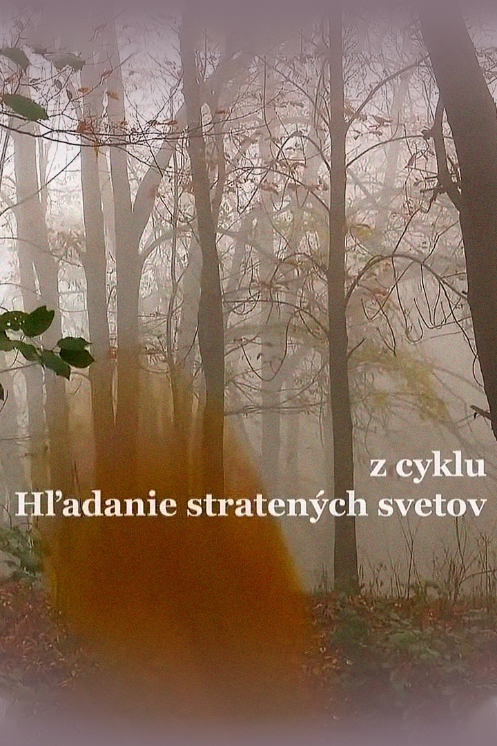 Hľadanie stratených svetov (hadanie-stratench-svetov) Документальный сериал
