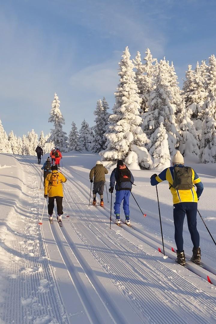 Норвегия: Лыжи и здоровый образ жизни в Норвегии (norvegija-lyzhi-i-zdorovyj-obraz-zhizni-v-norvegii) Досуг, хобби