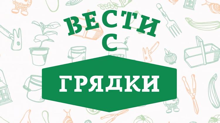 Постер Вести с грядки