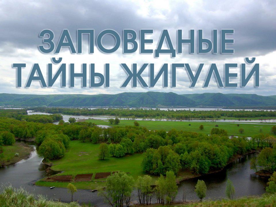 Заповедные тайны Жигулей (zapovednye-tajny-zhigulej) Документальный фильм