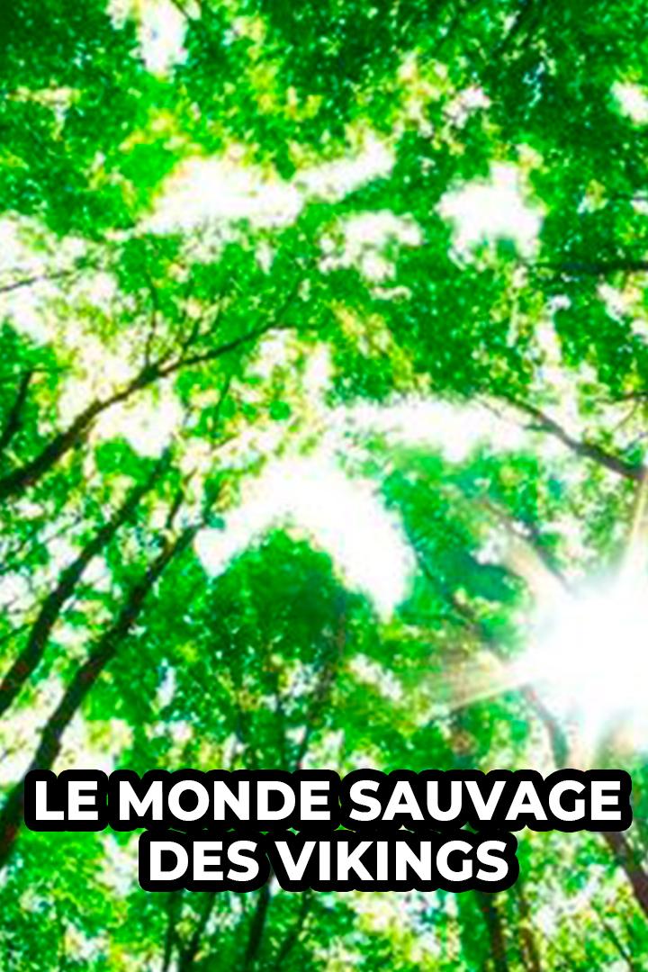 Le monde sauvage des Vikings (le-monde-sauvage-des-vikings) Познавательное