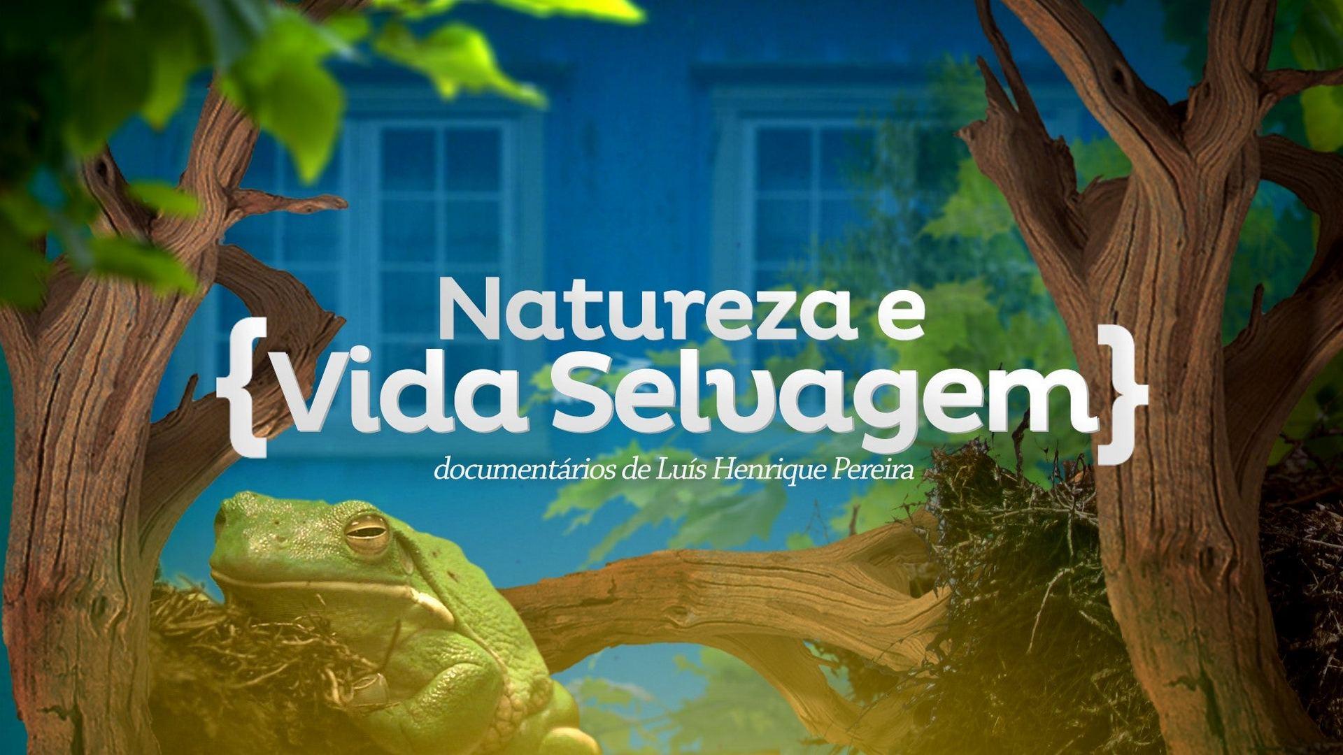 Natureza e Vida Selvagem (natureza-e-vida-selvagem) Познавательное