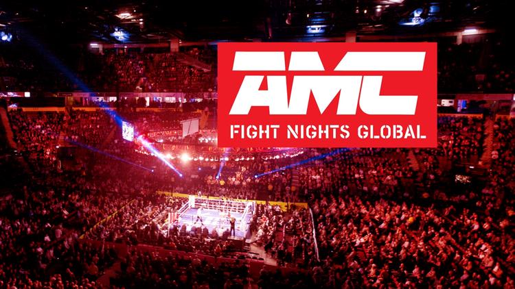 Постер Смешанные единоборства. AMC Fight Nights. Александр Емельяненко против Марсио Сантоса. Артур Пронин против Олега Косинова