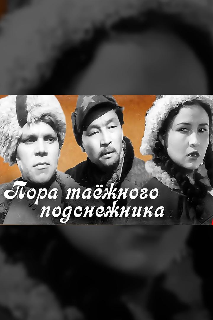 Пора таёжного подснежника (pora-taezhnogo-podsnezhnika) Фильм 1958