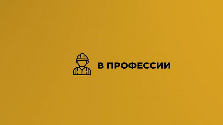 Постер В профессии