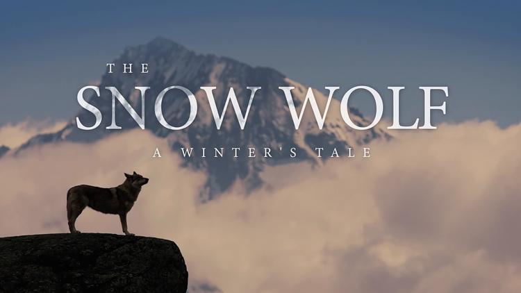 Постер The Snow Wolf: A Winter's Tale