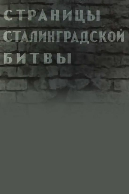Страницы Сталинградской битвы (stranitsy-stalingradskoj-bitvy) Познавательное